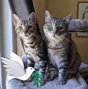 Meet your Posher, Erica